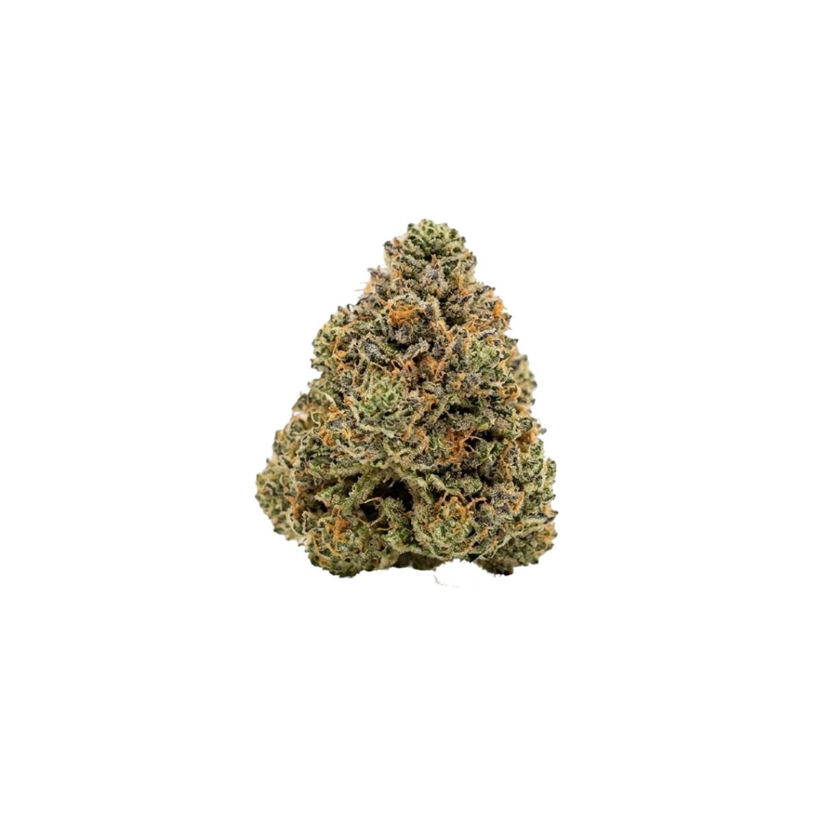 187 Cannabisflower FBP THC25 Forbidden Punch
