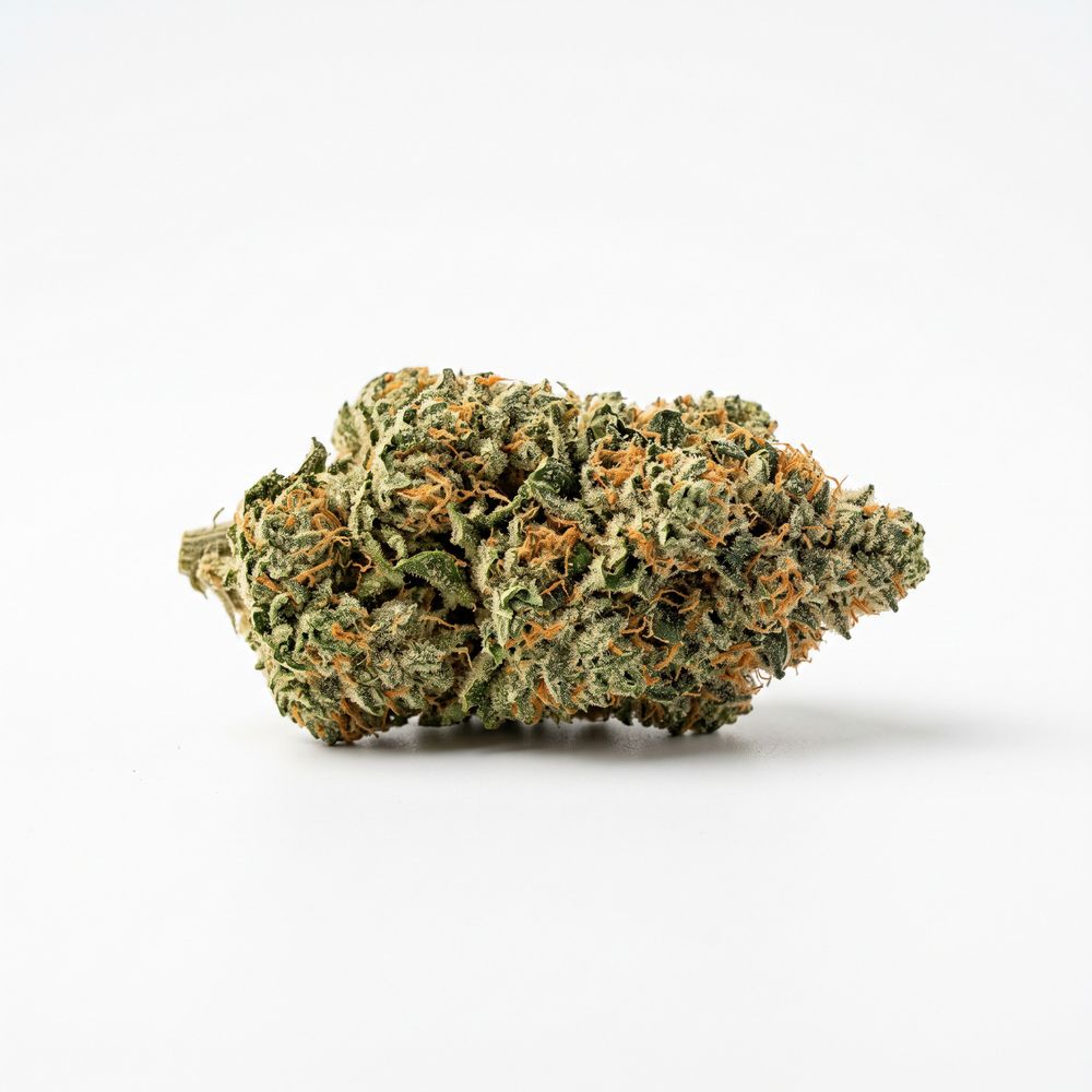 420 Evolution 27/1 CA ICC Ice Cream Cake
