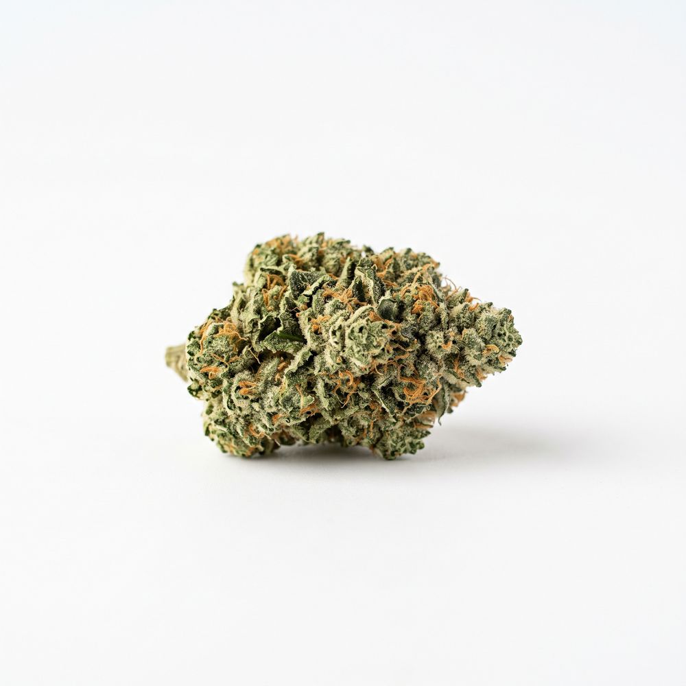 Weeco 25/1 Frosted Lemon Angel