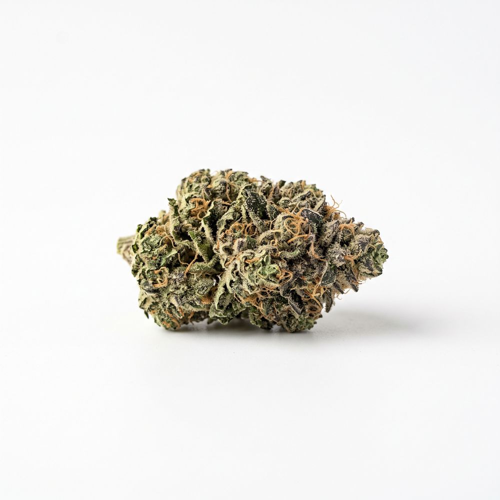 Buuo 22/1 WHG White Gelato