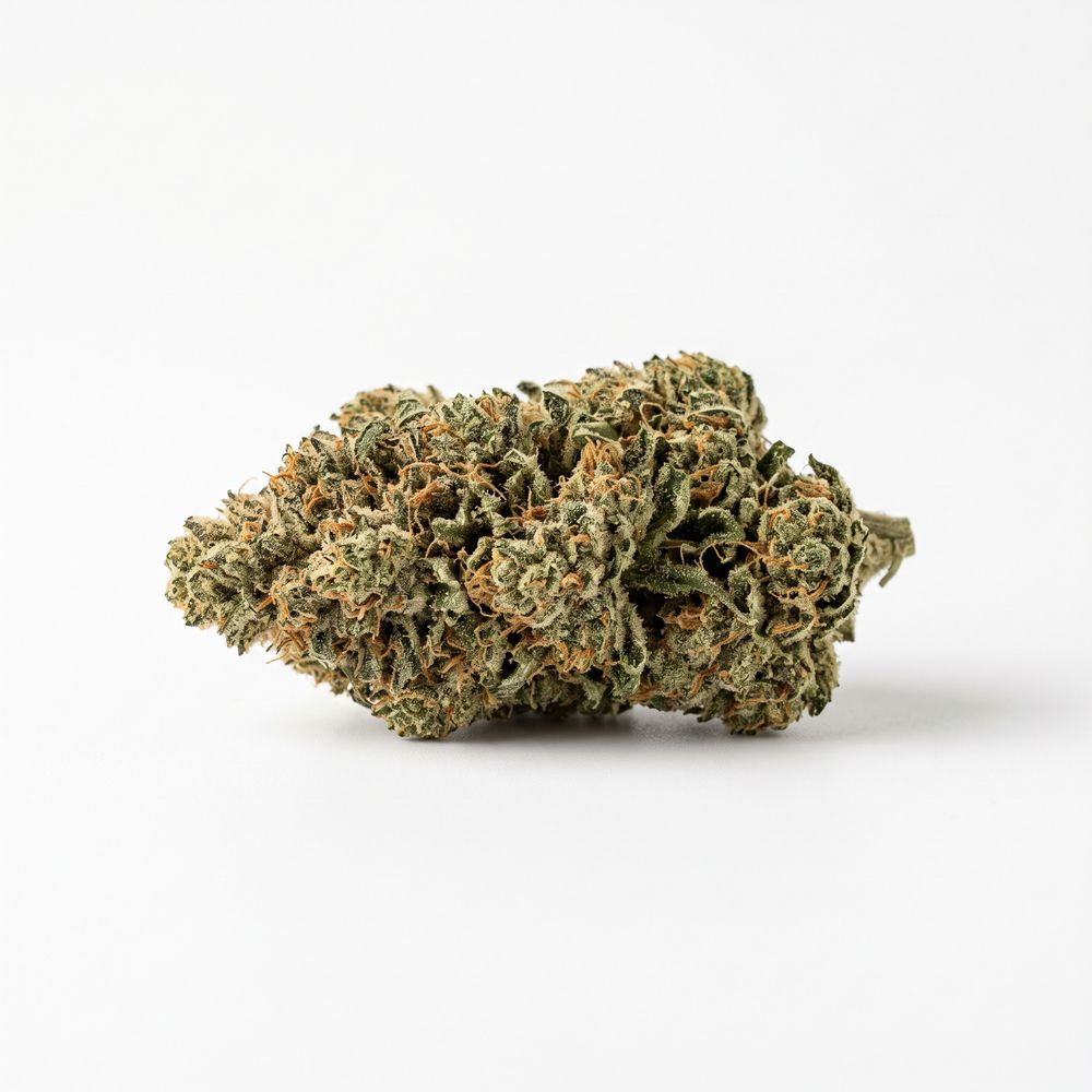 Remexian 30/1 RFA PSC Purp Sherb Cake