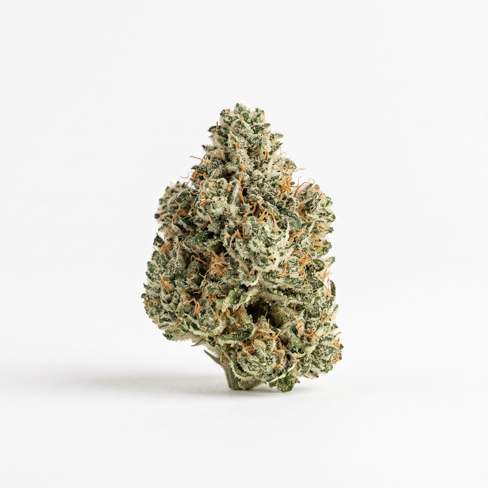TRUU GT 23:01 Crumbled Lime