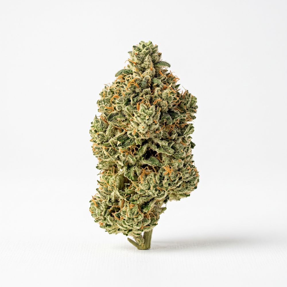 Weeco LMC 33/1 DK Lemoncello