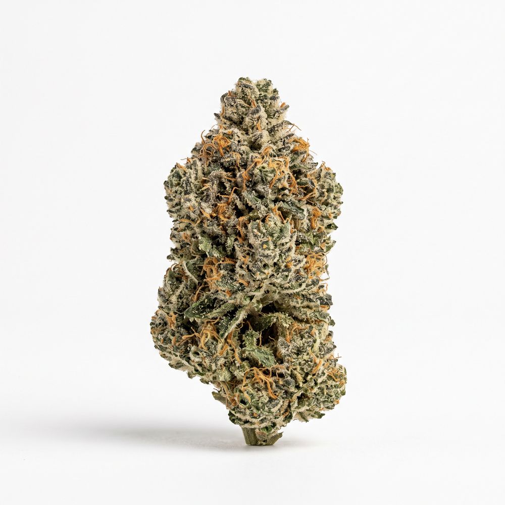 Cannamedical Indica Forte BC Banana Cream Cake