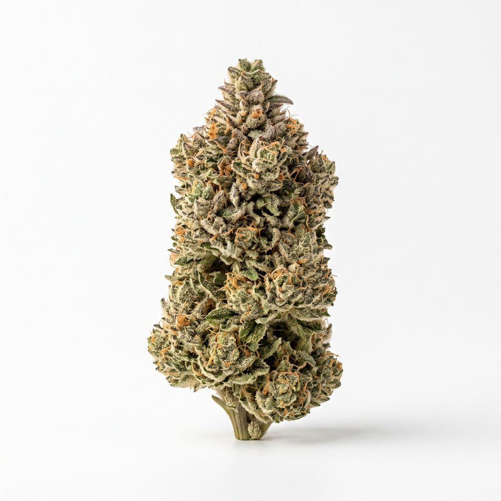 Sibanax GMO Zkittlez 24/1