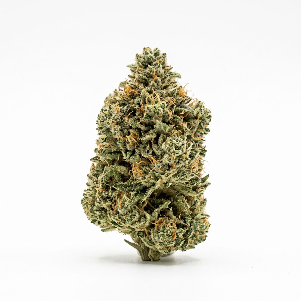 Petit Vert 24/1 GTE KCO Kush Cookies