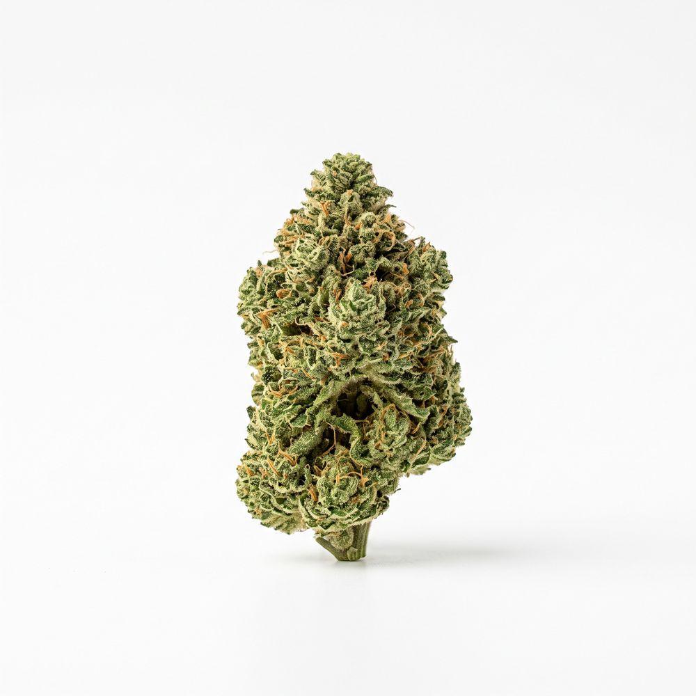 420 Compound 30/1 CA GAP Gastro Pop