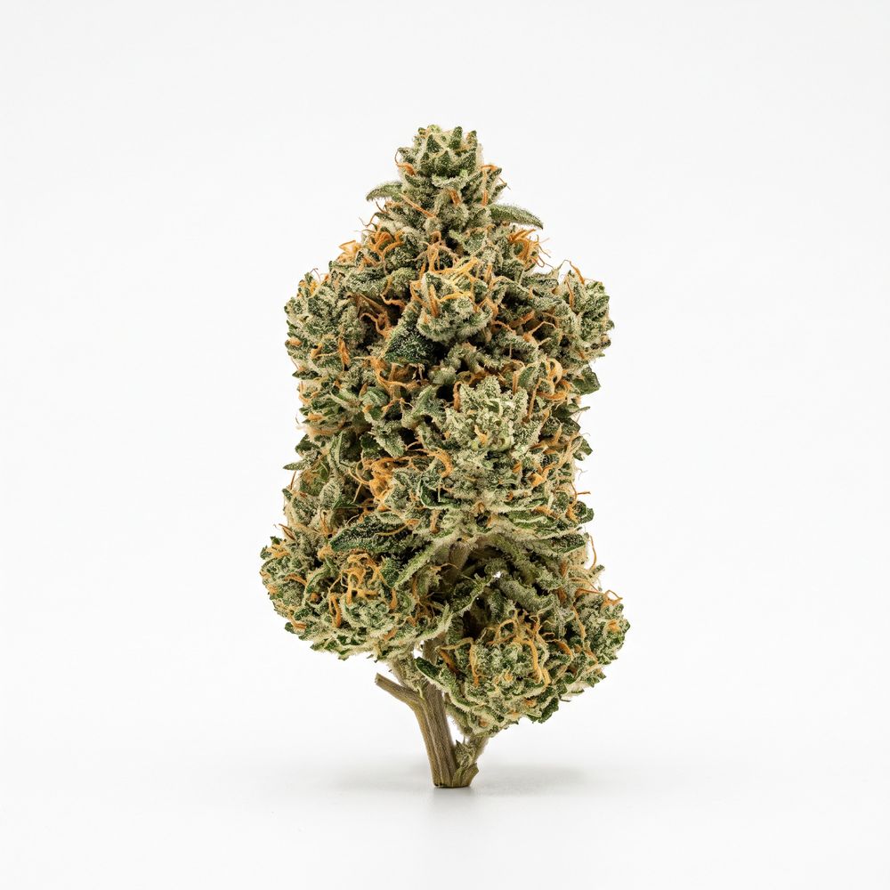 High Greens FZ 30/1 Funky Zkittlez