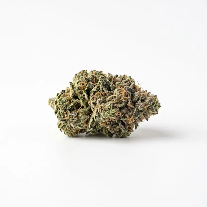 Buuo 22/1 WHG White Gelato