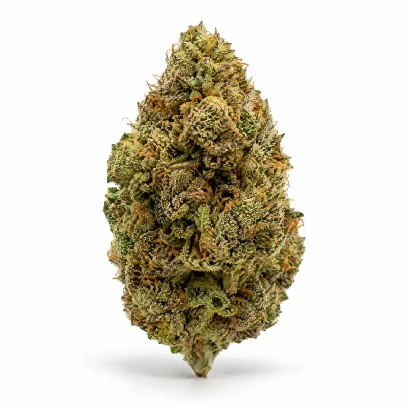 Canify Cannabis flos 1/14 LS Ku Maluti CBD