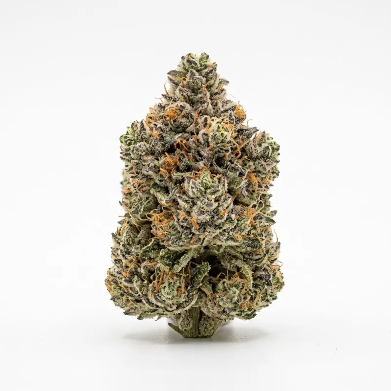 Slouu 27/1 SCH CA Sour Crush Haze