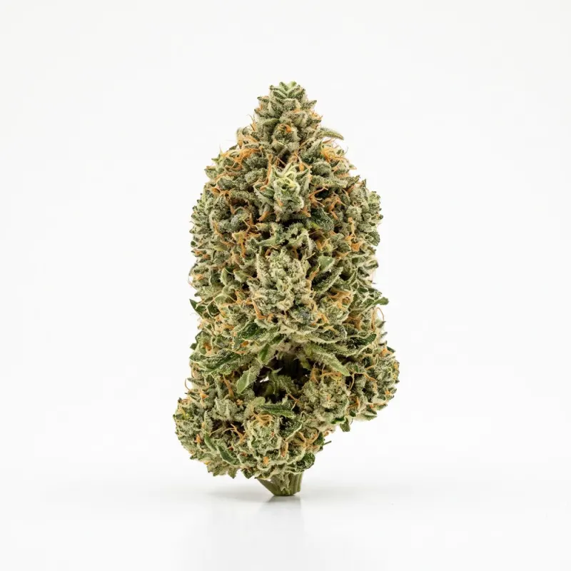Remexian 30/1 SIU GG4 Gorilla Glue