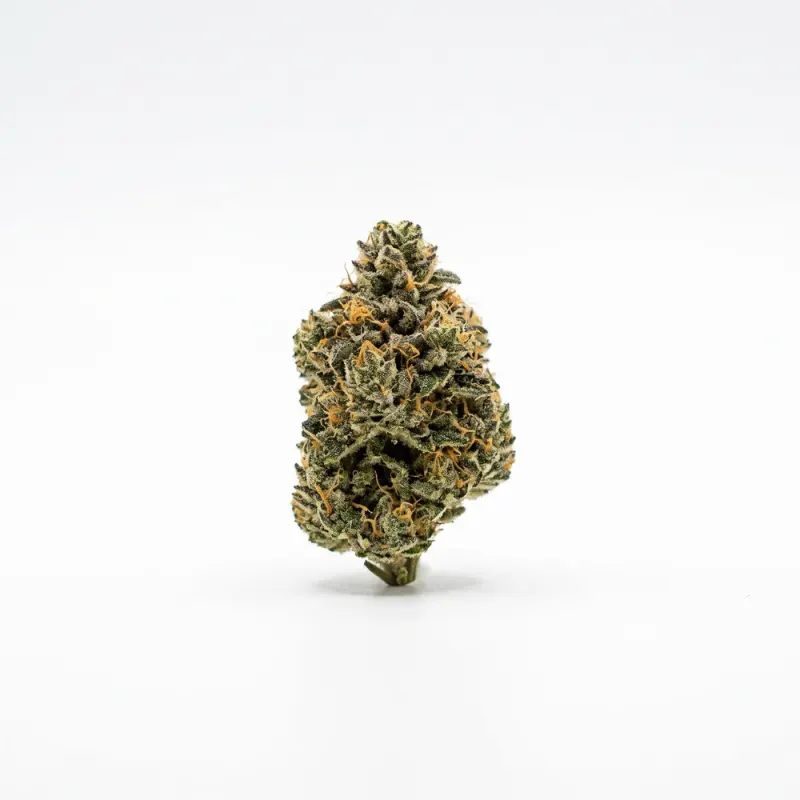 enua 25/1 BT CA Black Truffel