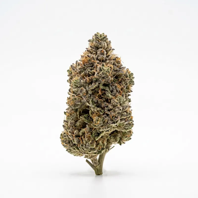 Cannamedical Hybrid ultra BC Lemon Cookie