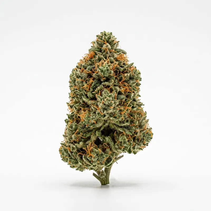 Huala 30/1 AMK Animal Mintz Kush