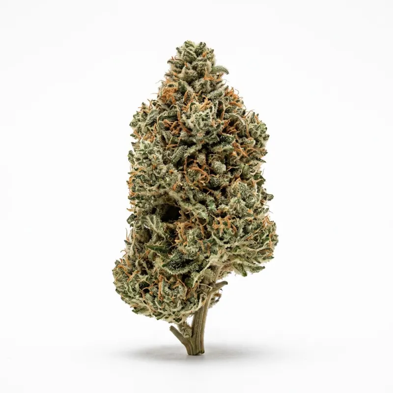 enua 27/1 CCK CA Cold Creek Kush
