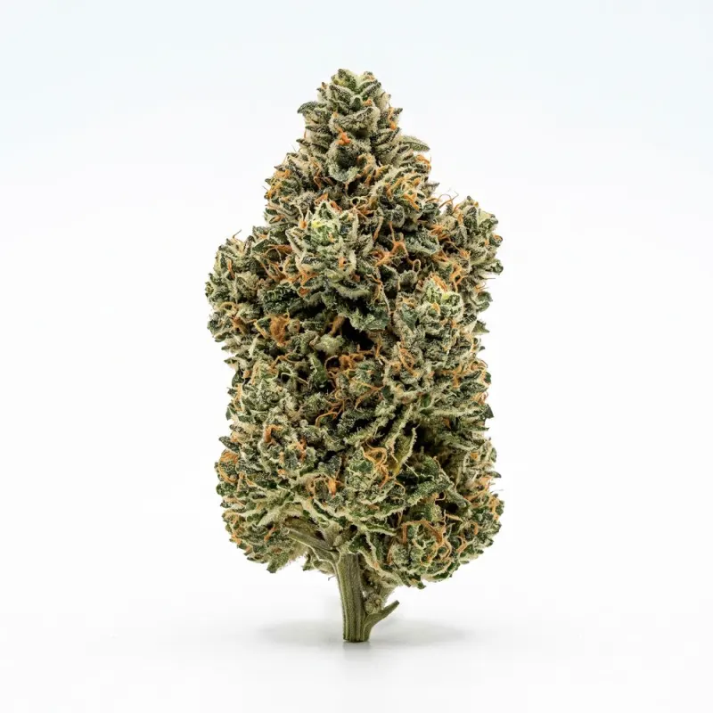 avaay 32/1 AHC Amnesia Haze Cake