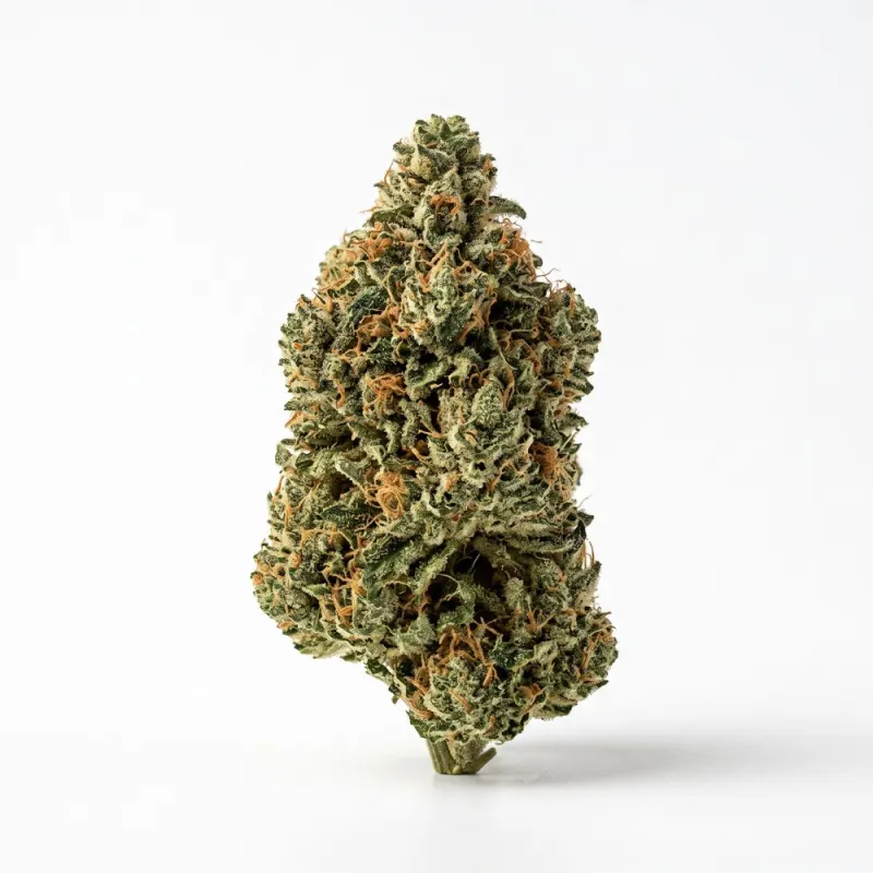 enua 25/1 USR CA Ultra Sour