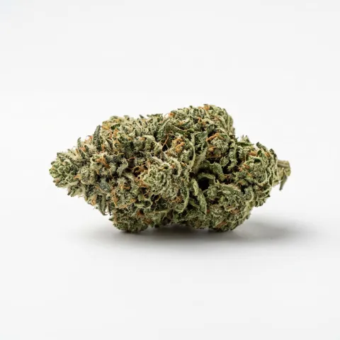 Materia FFC 25/1 Frosted Fruit Cake