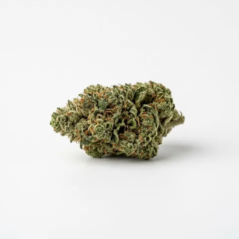 Cannamedical Indica ultra ES Papaya Boom