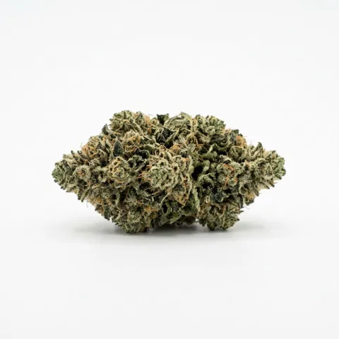 Coyote Valley 22/1 PWK Pinewood Kush
