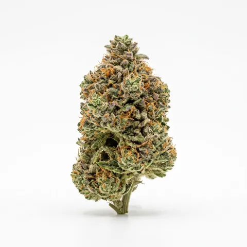 Truth Holdings LH 29/1 Liberty Haze