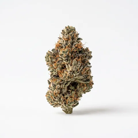 Soma OG 34/1 PF Cap junky
