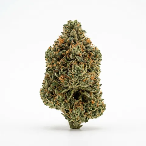IMC THC25 T03 GG4 Gorilla Glue
