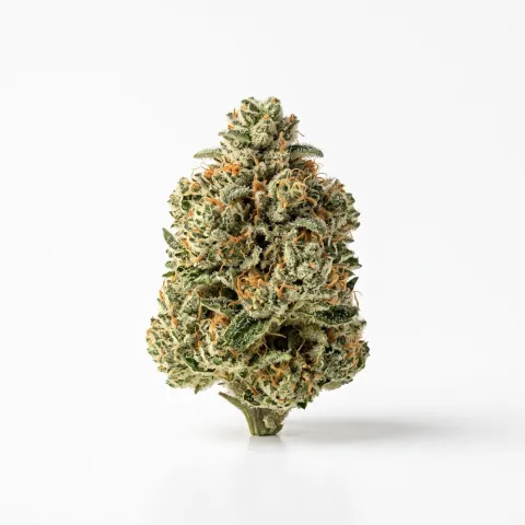 avaay 34/1 JFP Jet Fuel Pie