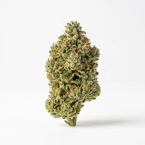 Ceres No. 2 25/1 Slurricane Mint