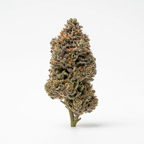 avaay SIGNATURE 23/1 ARC Apple Rock Candy