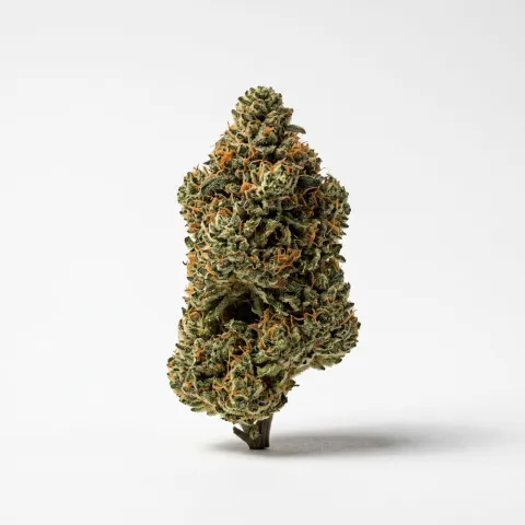 BOTANICS Purple Cream 24/1 Purple Ice Water