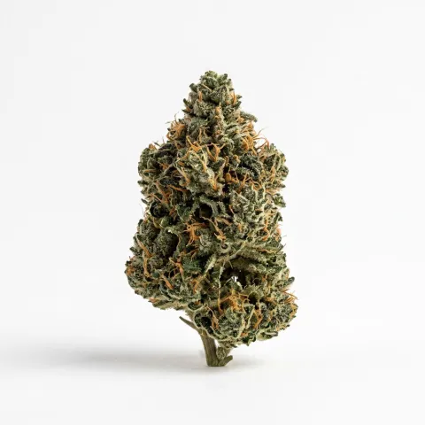 Demecan Core Saxonia 28:01 Wedding Cake x Jet Fuel Gelato