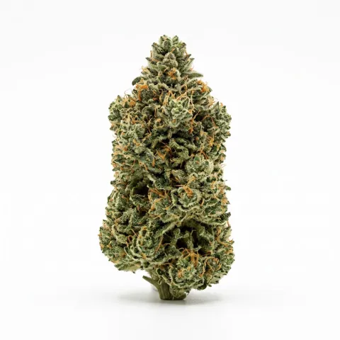 NICE 27/1 KM Kush Mints