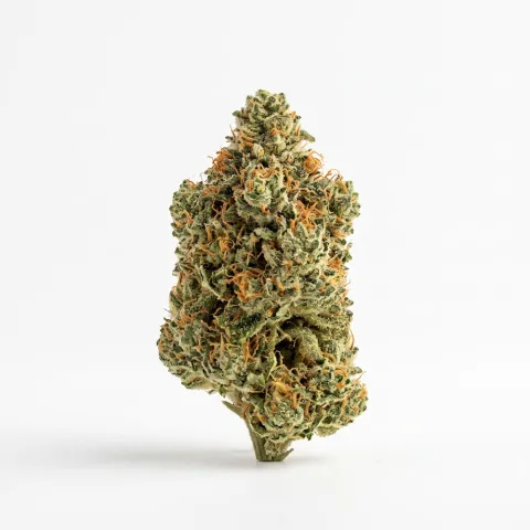 MED HAZE ENERGY PHOCC 26/1 Orange Coco Crunch