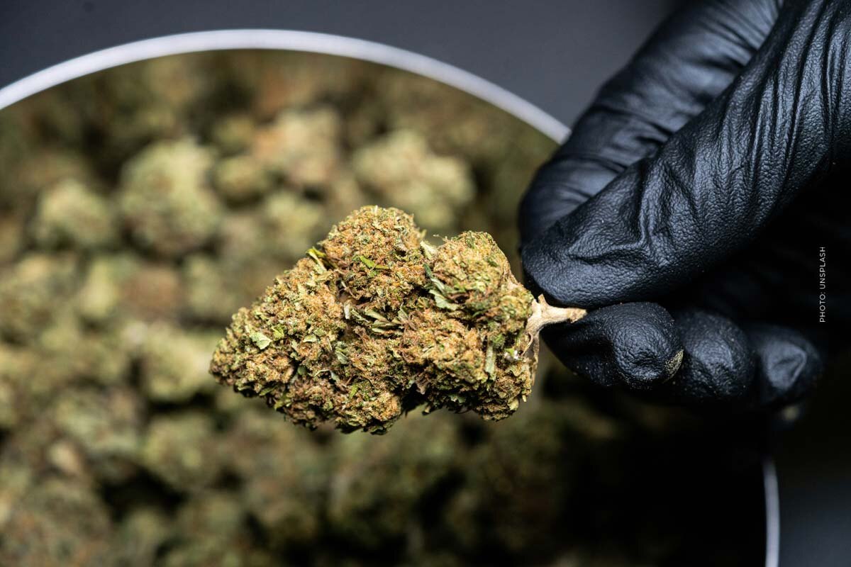 Chemdawg: Cannabis Sorte - THC, CBD, Aroma & Wirkung