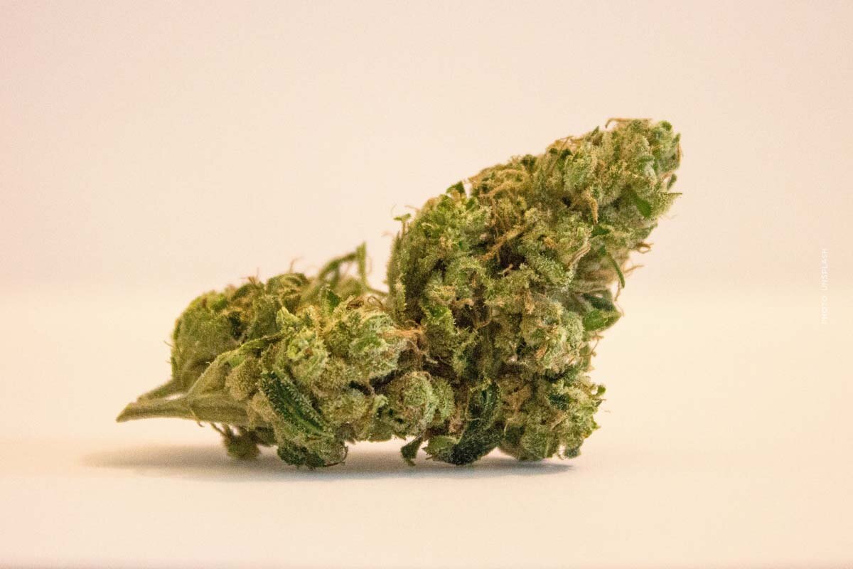Immer mehr junge Menschen probieren Cannabis - Statistik