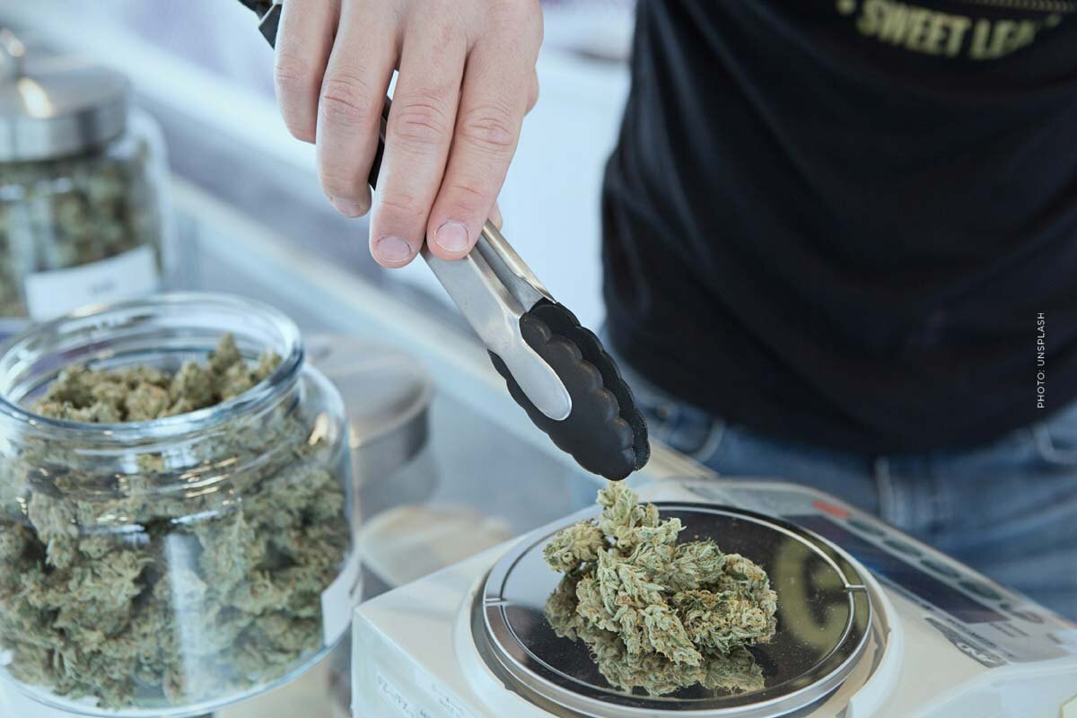 Green Crack: Cannabis Sorte - THC, CBD, Aroma & Wirkung