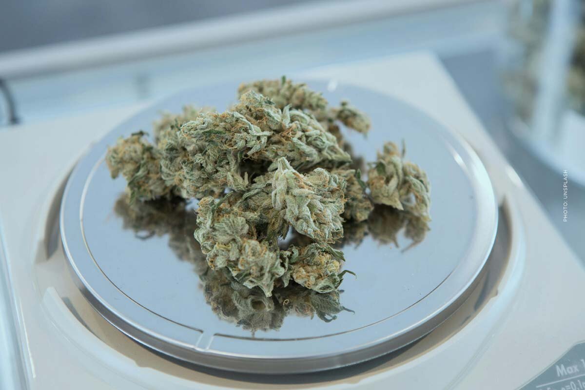Cannabis blute bud thc cbd aroma glas apotheke social club gewicht wage 12 g – Doktorfy