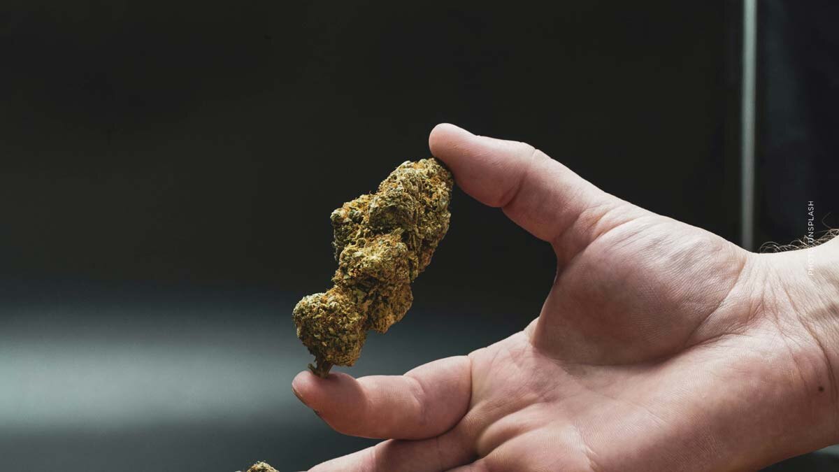 Headband: Cannabis Sorte – THC, CBD, Aroma & Wirkung