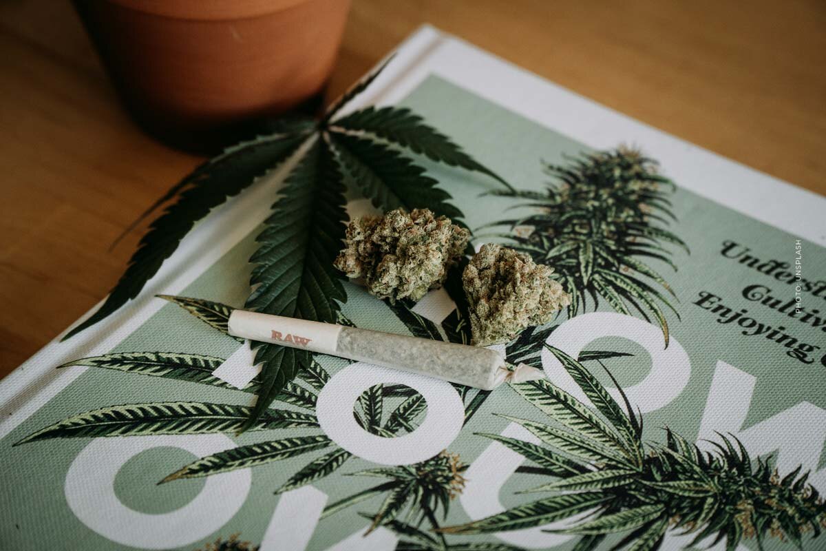 Cannabis Verein: Gemeinschaft, Unterstützung, Projekte & Netzwerke