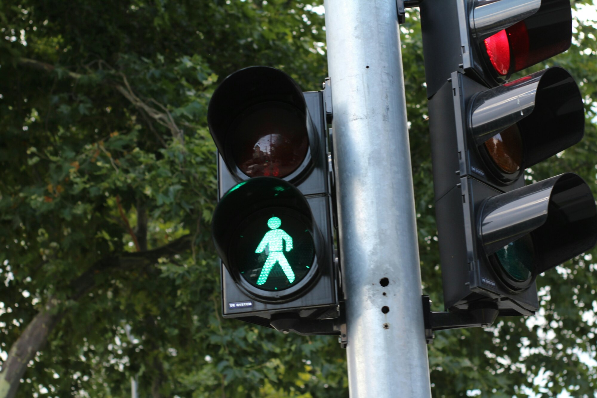 Ampel grün verkehr auto fahren – Doktorfy