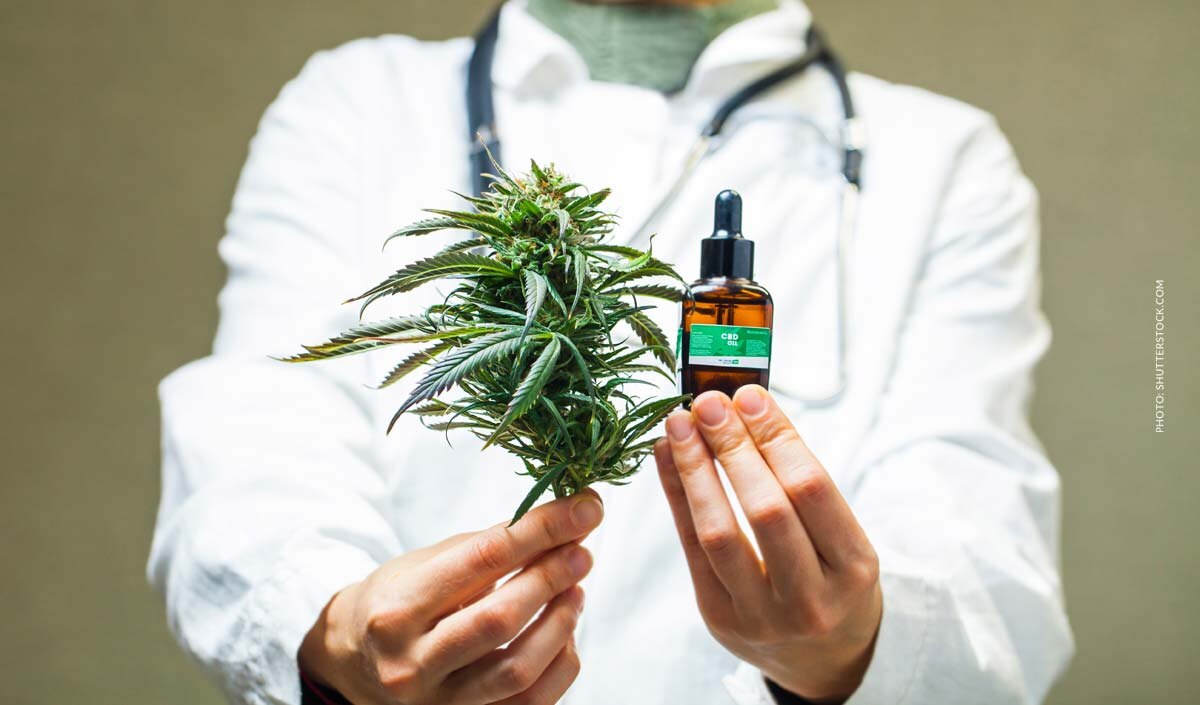 Cannabis Extrakt: Was ist das? Wirkung, Rezept & Apotheke