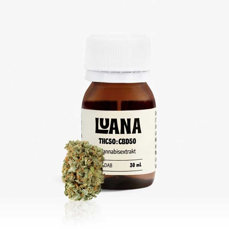 Cannabis Inhaltsstoffe: THC, CBD, CBN, CBG & THCA – Wirkung & Unterschiede