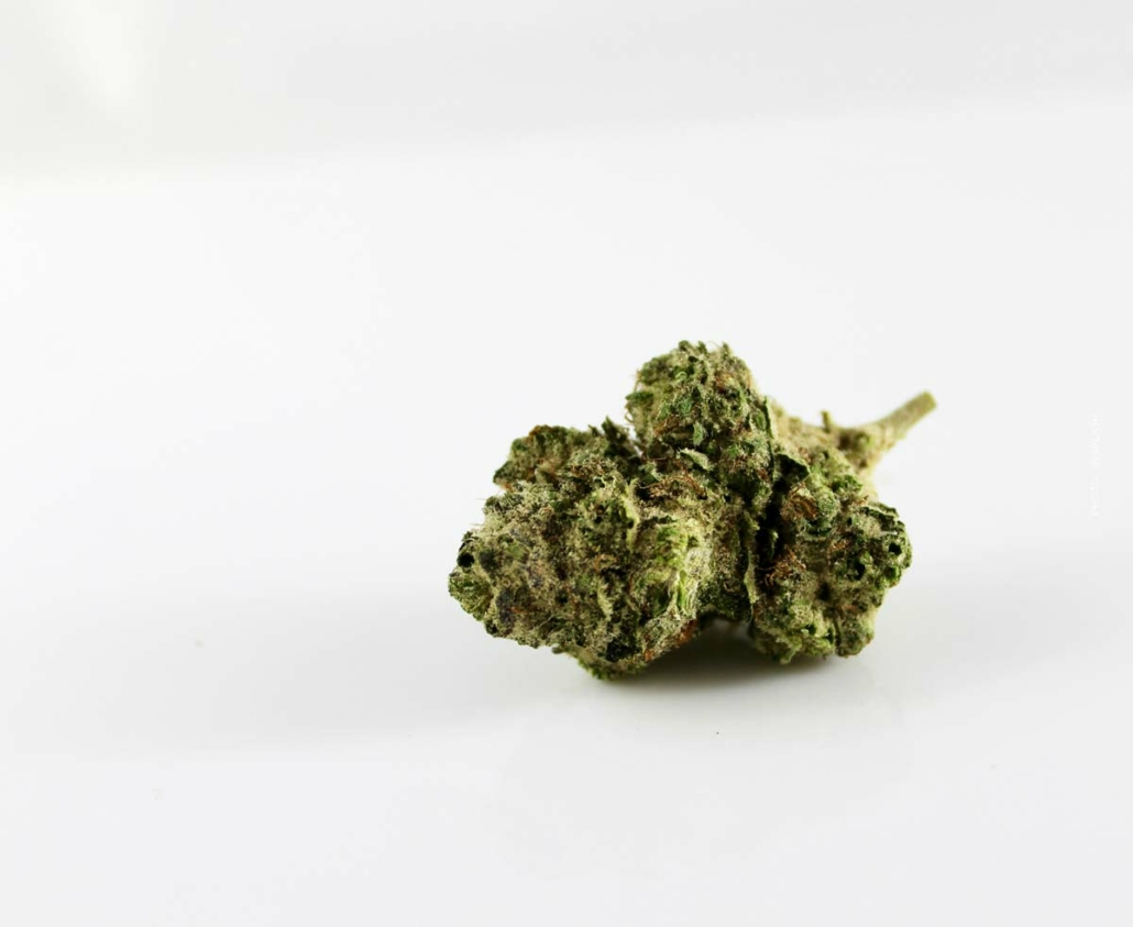 cannabis-blute-bud-thc-cbd-aroma-einzeln