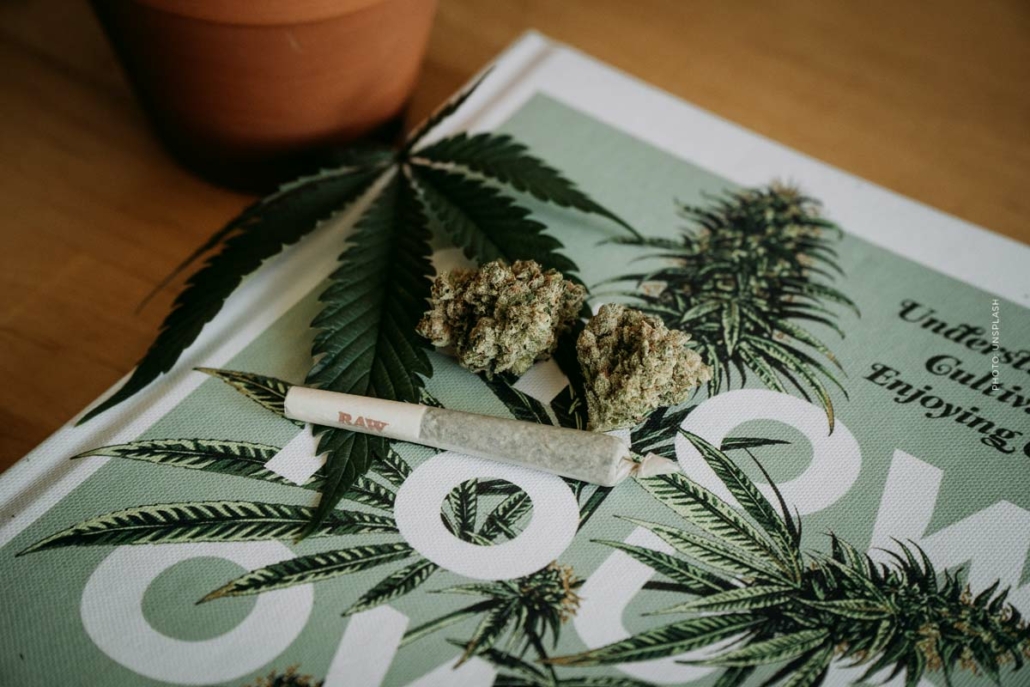 cannabis-blute-bud-thc-cbd-aroma-magazin-joint-fertig-gedreht