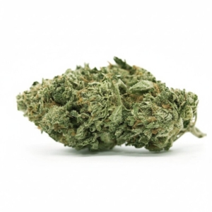 Goofiez x 24,0% THC | Cannamedical