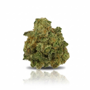 VenomZ Eve x 24,0% THC | Cannamedical