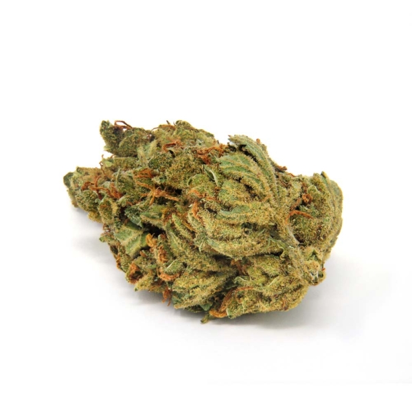 Blueberry Headband