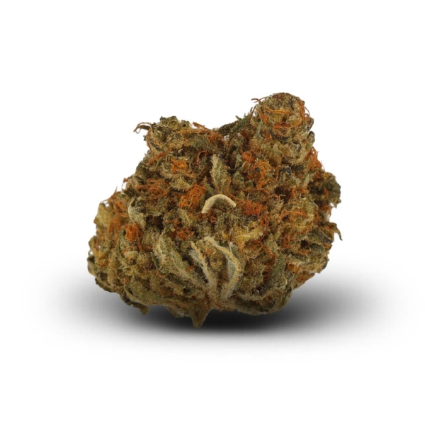 Mango Haze
